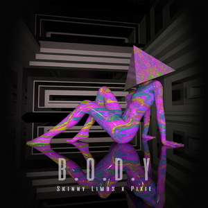 B.O.D.Y (feat. Pixie)