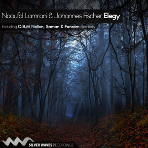Elegy (O.B.M Notion Remix)