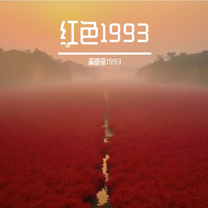 延安窑洞的灯火（最终）