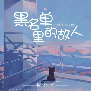 黑名单里的故人(DJ沈念版)