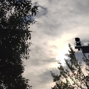 夕阳跌进酒杯里