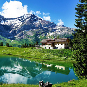 Concrete Heartbeats (Acoustic Version)