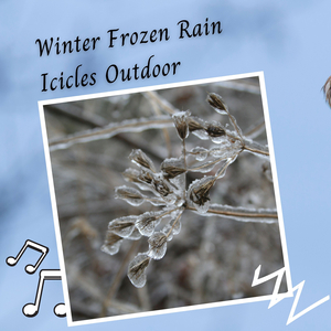 Winter Frozen Rain Icicles Outdoor - 1 Hour