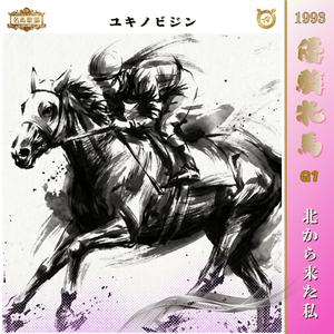 北から来た私　【1993 オークス =ユキノビジン＝】