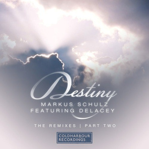 Destiny (Omair Mirza Remix)