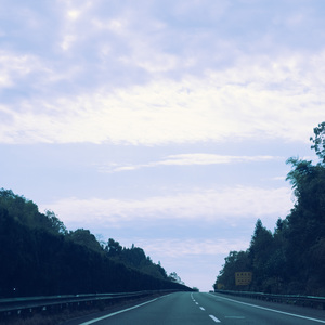 书中自有黄金屋 (自愈纯音乐)