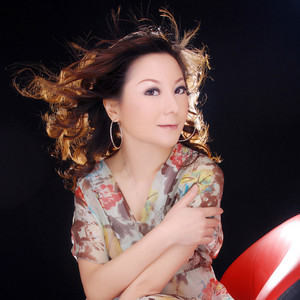 不再爱你的理由 (DJ版)