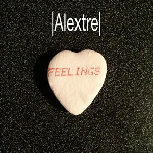 Never Have I Ever Fallen in Love