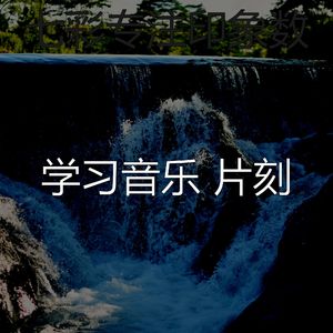 安静的正在学习声音