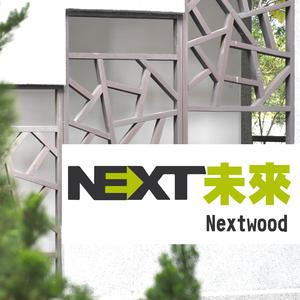 Next未来 (摇滚版)