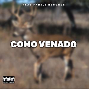 Como Venado