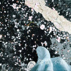 再厚的爱只是一叠纸片