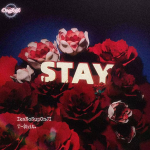 STAY2