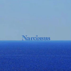 Narcissus(纳西索斯)