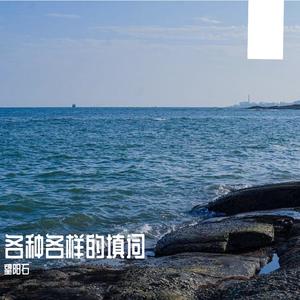 我还年轻 我还年轻（斑青马 填）