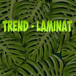 Laminat