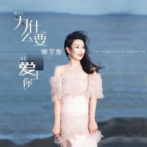 为什么要爱上你 (DJ默涵版)