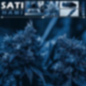 SATI