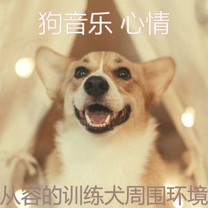 有趣训练犬情怀