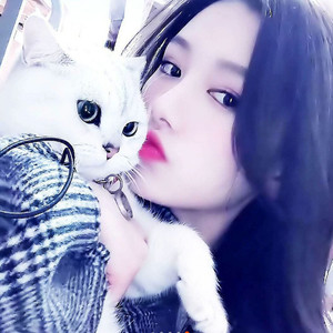 南村的小妹妹 (DJ版)