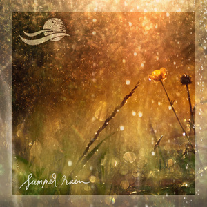 Steady Rain in Toronto