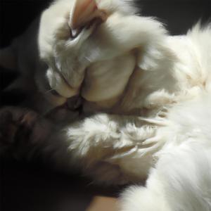 Denial You Win Again