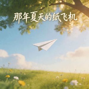 那年夏天的纸飞机
