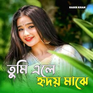 তুমি এলে হৃদয় মাঝে