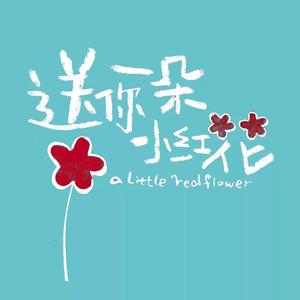 赵英俊-送你一朵小红花（李志远 remix）