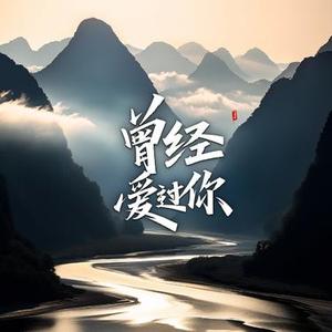 我曾经爱过你