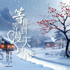 等你等到满天雪