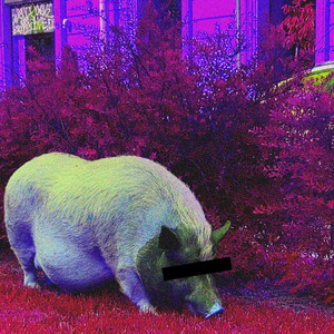 Кто вокруг