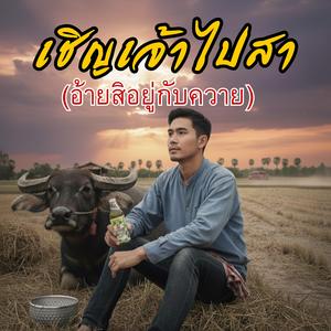 เชิญเจ้าไปสา (อ้ายสิอยู่กับควาย)