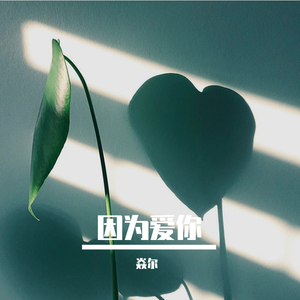 因为太爱你