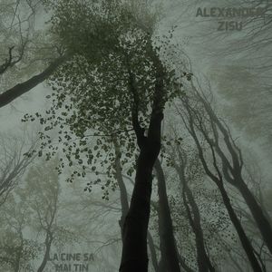 Se Leagă Preferinte