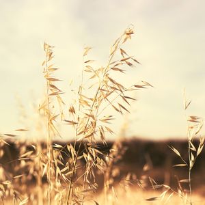 抚慰的在家冥想回忆