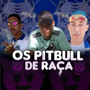 Os Pitbull de Raça