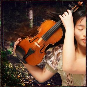 セラのテーマ（Violin cover）