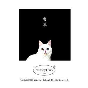 봄이여, 오라 ! (더 사운드 오브 얀씨클럽 2)