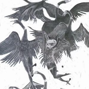 燒馬棚（BarnBurning）