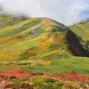 繁花落 (自然流水古筝)