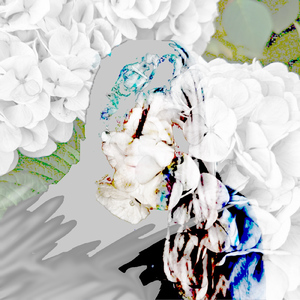 羽 (僕はロボットRemix)