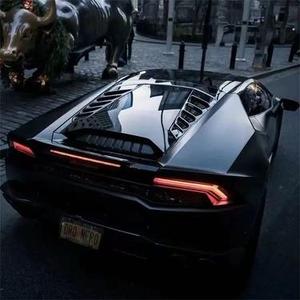 Government Hooker 姬芽摇