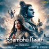 Meet Tunes - Shambhu Nath