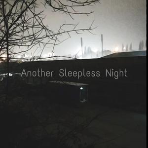 Another Sleepless Night