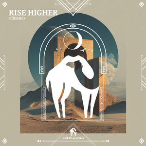 Rise Higher