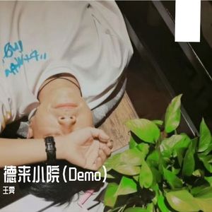 德来小院（Demo）