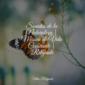 Floraciones De Los Chacras