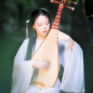 人间不值得（琵琶版）乐落清音