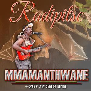 Ke Tshwenyegile (feat. Radipitse)